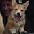 Sheaffer Reese's profile image