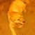Joe Bird's profile image