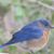 Kathy Franklin's profile image