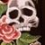 Cherie Whipkey's profile image
