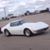 Chevy Sharks's profile image