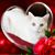 Christel Tressler's profile image