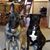 Lisa Wittman-Stout's profile image