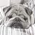 Jill N Wayne Love's profile image