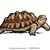 Jessica Tran's profile image