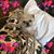 Jessica Sorden's profile image