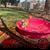 Deb Rasmussen's profile image