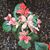 Jeffery G. Pettit's profile image