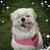 Elsa Galingan's profile image