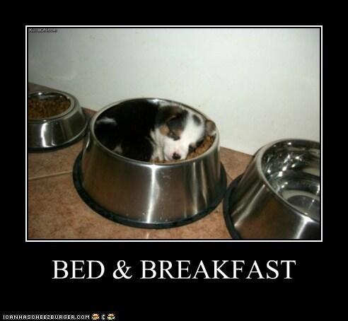 Barbara L.'s profile image