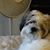 Chylea Hefner Hall's profile image
