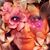Alla Maber's profile image
