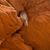 Kat Bonson's profile image