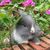 Cheryle Edwards's profile image