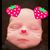 Pamela Brown Palmateer's profile image