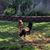 Melissa Maahs's profile image