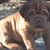 Sandra Owens Haven's profile image
