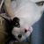 Jennifer Baburek's profile image