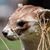 Robert Coonrod's profile image