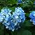 Linda Kennedy Fisher's profile image