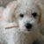 Linda DeSpain's profile image