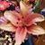 Kelly Atchley-Orr's profile image