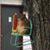 Judy Daffis Stewart's profile image