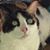 Sharyn Blake Wright's profile image