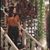 Sumpi Mathur's profile image