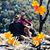 Lorie Ragon's profile image