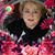 Frances Hamill's profile image