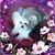 Sheila Ann Seibel's profile image