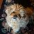 Dawn Ramer Bergen's profile image