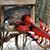 Sandra Greene Miller's profile image