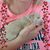 Deb Sindel's profile image