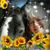 Debra Parry Trichilo's profile image