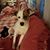 Sandi Tucker's profile image