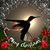 Stephanie Riston Jenks's profile image