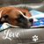 Tracy Brown's profile image