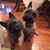 Bonnie Shaffer's profile image