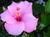 Jocy J.'s profile image