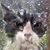 Shari Heinz's profile image