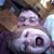 David Frates's profile image