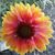 Verna Swan's profile image