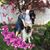 Cheryl Vianco Burks's profile image