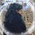 Shannon Kittredge's profile image