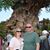 Kristina Shaw Zippel's profile image