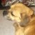 Kelly Quigley's profile image