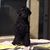 Janice Butler's profile image