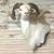 Jennifer McPhaul's profile image